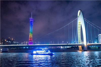 专业详细介绍与实用建议 专业详细介绍与实用建议